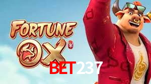 bet237 App Interface